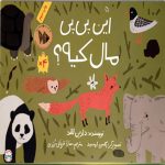 این پی پی مال کیه