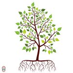 منتال فیتنس کودکان