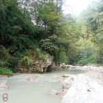 طبیعت گردی با کودک طبیعت گردی با کودک