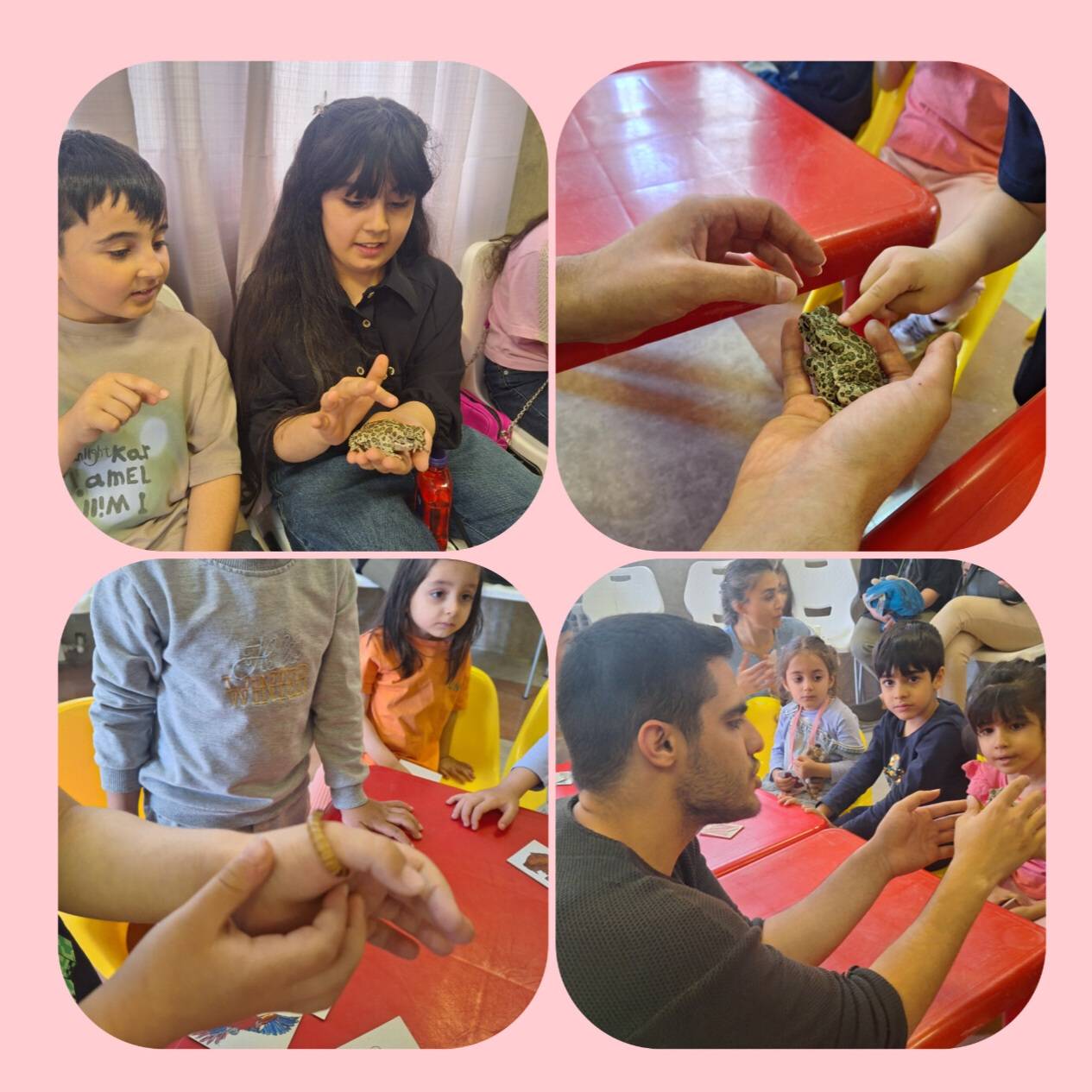 کارگاه جانور شناسی